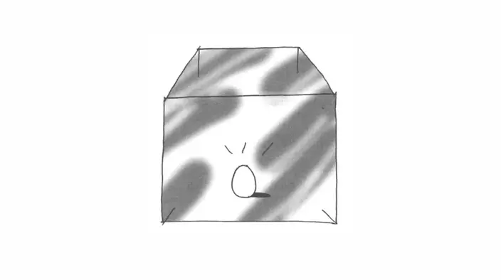 cover of next post